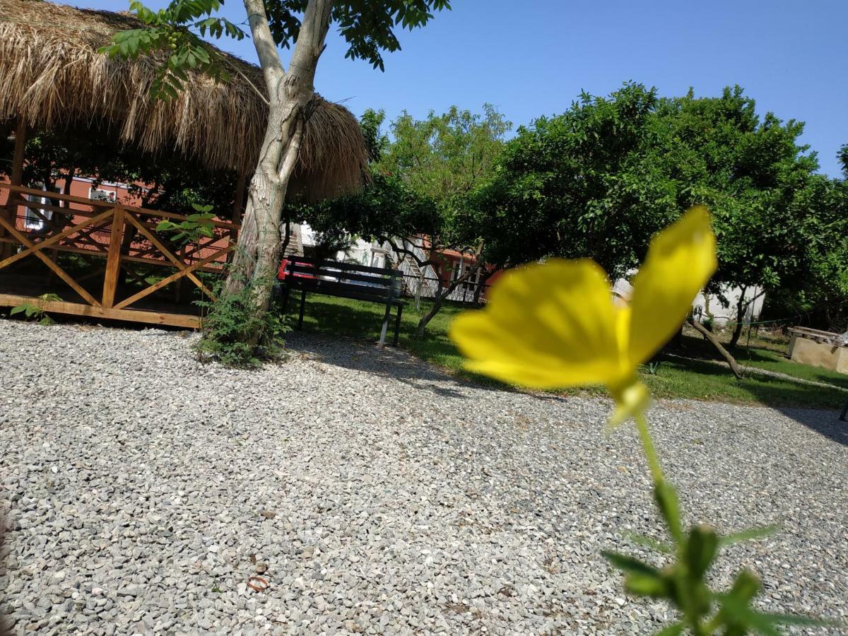 Kolkhi Guest House Gonio Extérieur photo